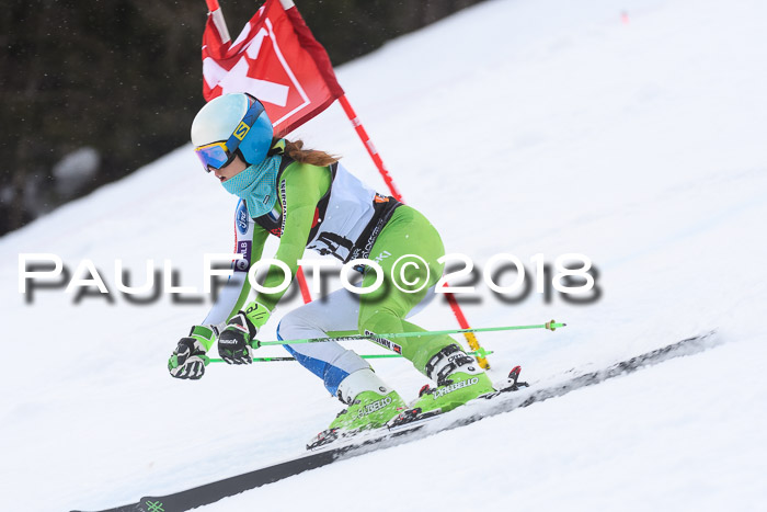 Int. FIS Rennen Damen, RS, Maria Alm 09.01.2018