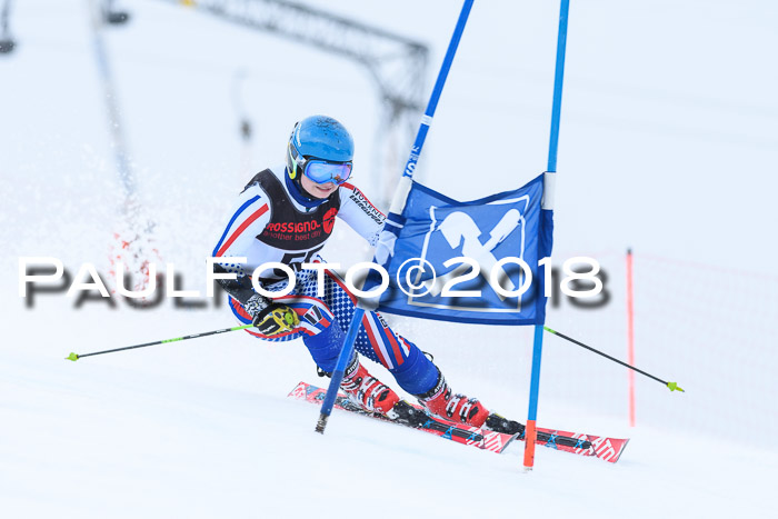 Int. FIS Rennen Damen, RS, Maria Alm 09.01.2018