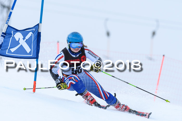 Int. FIS Rennen Damen, RS, Maria Alm 09.01.2018