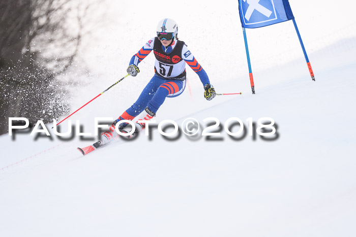 Int. FIS Rennen Damen, RS, Maria Alm 09.01.2018