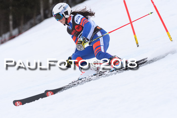 Int. FIS Rennen Damen, RS, Maria Alm 09.01.2018