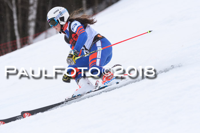 Int. FIS Rennen Damen, RS, Maria Alm 09.01.2018