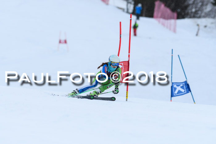 Int. FIS Rennen Damen, RS, Maria Alm 09.01.2018