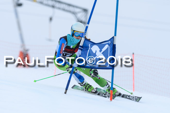 Int. FIS Rennen Damen, RS, Maria Alm 09.01.2018