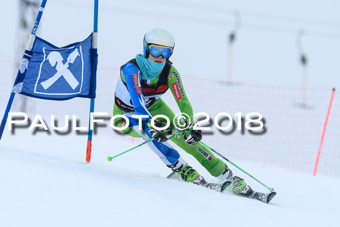 Int. FIS Rennen Damen, RS, Maria Alm 09.01.2018