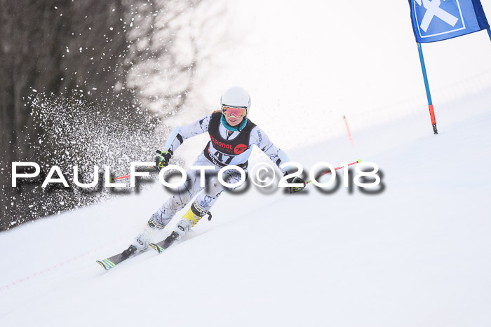 Int. FIS Rennen Damen, RS, Maria Alm 09.01.2018