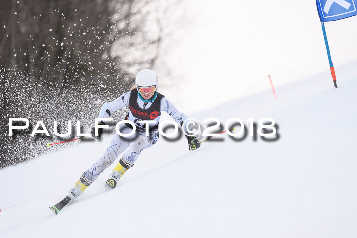 Int. FIS Rennen Damen, RS, Maria Alm 09.01.2018