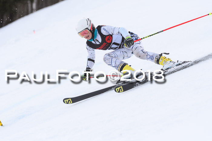 Int. FIS Rennen Damen, RS, Maria Alm 09.01.2018