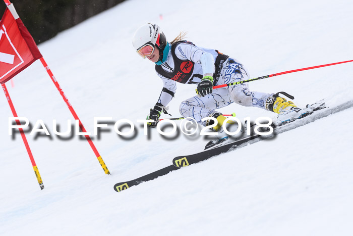 Int. FIS Rennen Damen, RS, Maria Alm 09.01.2018