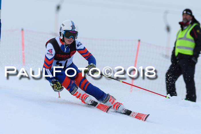 Int. FIS Rennen Damen, RS, Maria Alm 09.01.2018