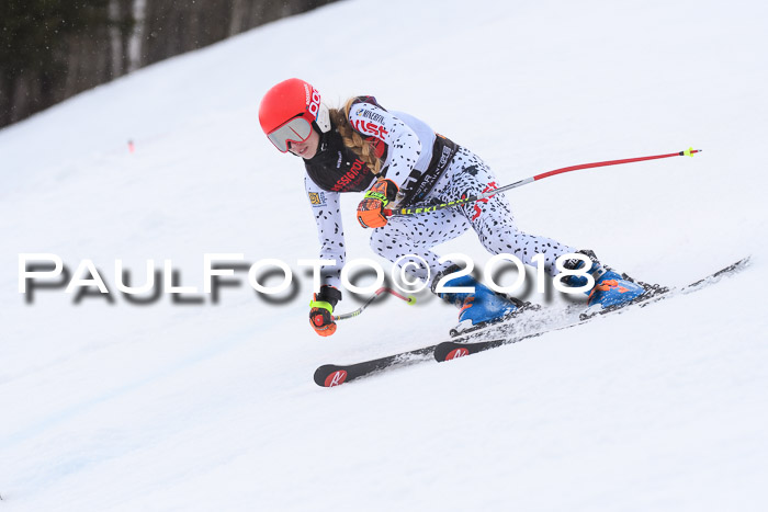 Int. FIS Rennen Damen, RS, Maria Alm 09.01.2018