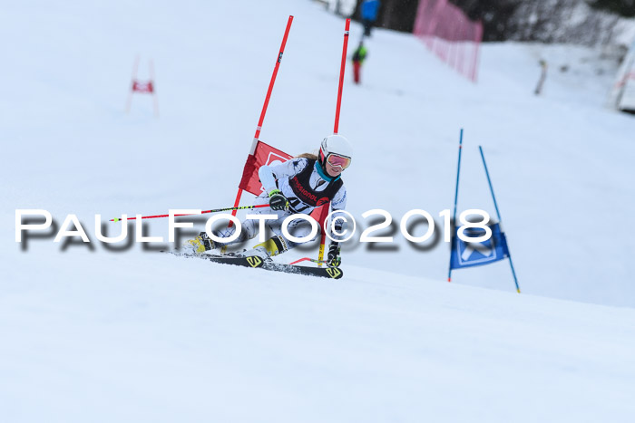 Int. FIS Rennen Damen, RS, Maria Alm 09.01.2018