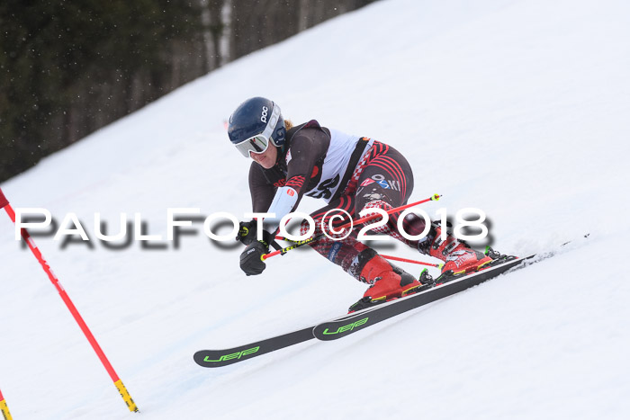 Int. FIS Rennen Damen, RS, Maria Alm 09.01.2018