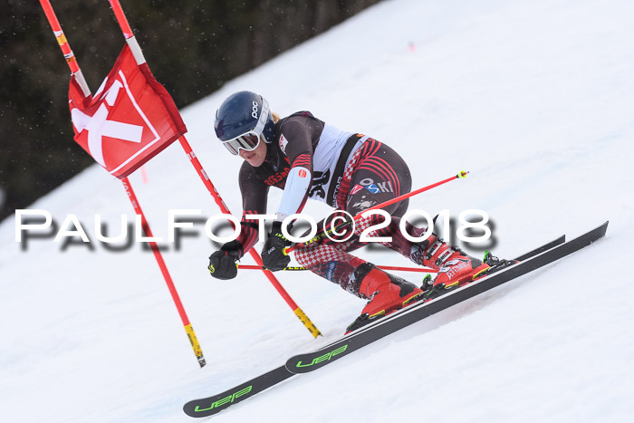 Int. FIS Rennen Damen, RS, Maria Alm 09.01.2018