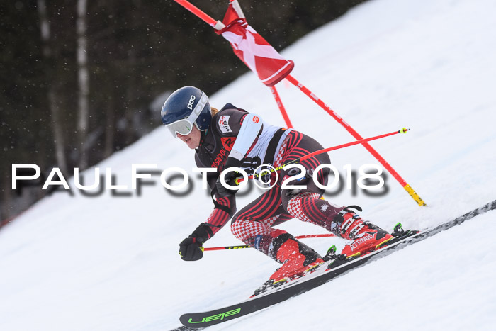 Int. FIS Rennen Damen, RS, Maria Alm 09.01.2018