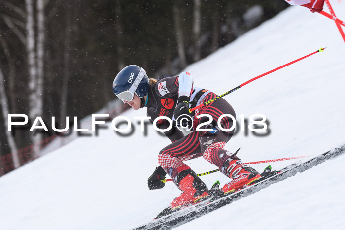 Int. FIS Rennen Damen, RS, Maria Alm 09.01.2018