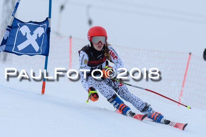 Int. FIS Rennen Damen, RS, Maria Alm 09.01.2018