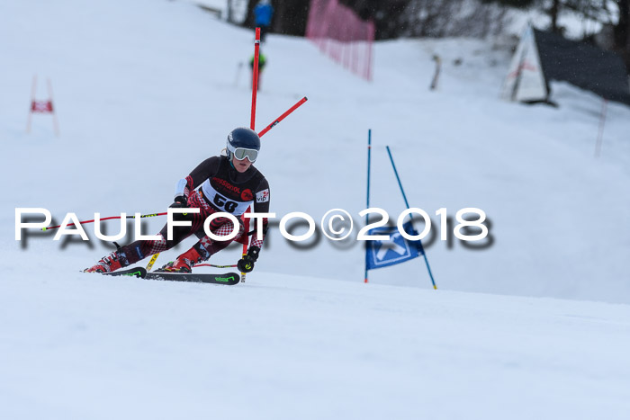 Int. FIS Rennen Damen, RS, Maria Alm 09.01.2018