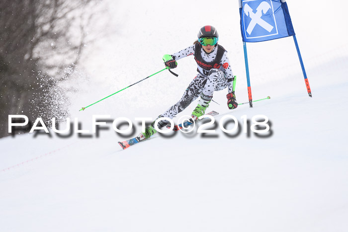 Int. FIS Rennen Damen, RS, Maria Alm 09.01.2018