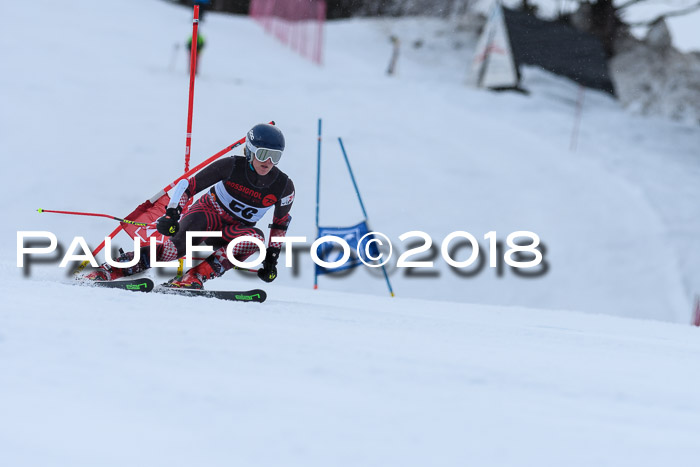 Int. FIS Rennen Damen, RS, Maria Alm 09.01.2018