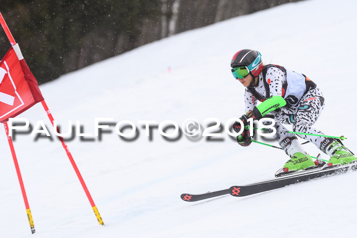 Int. FIS Rennen Damen, RS, Maria Alm 09.01.2018