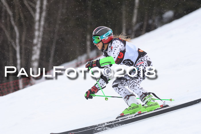 Int. FIS Rennen Damen, RS, Maria Alm 09.01.2018