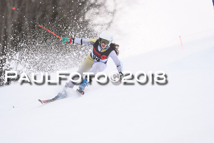 Int. FIS Rennen Damen, RS, Maria Alm 09.01.2018