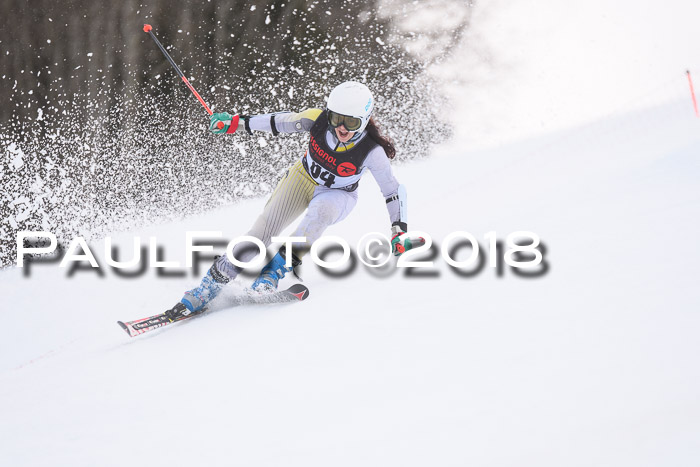 Int. FIS Rennen Damen, RS, Maria Alm 09.01.2018