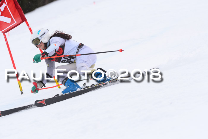 Int. FIS Rennen Damen, RS, Maria Alm 09.01.2018