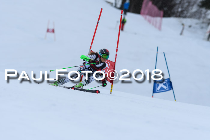 Int. FIS Rennen Damen, RS, Maria Alm 09.01.2018