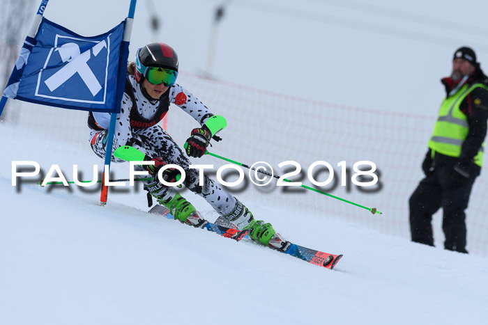 Int. FIS Rennen Damen, RS, Maria Alm 09.01.2018