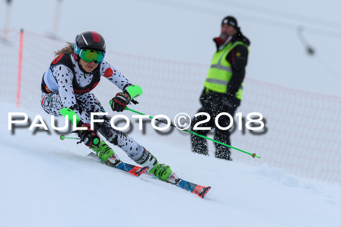 Int. FIS Rennen Damen, RS, Maria Alm 09.01.2018