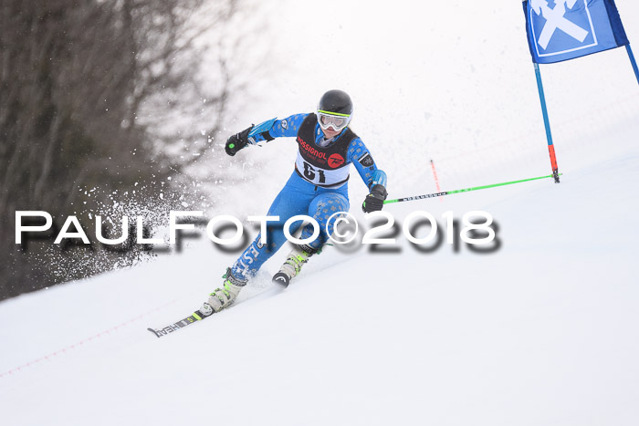 Int. FIS Rennen Damen, RS, Maria Alm 09.01.2018