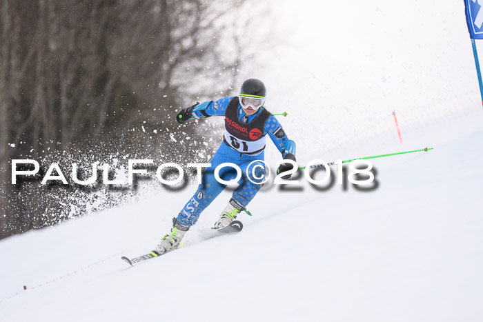 Int. FIS Rennen Damen, RS, Maria Alm 09.01.2018