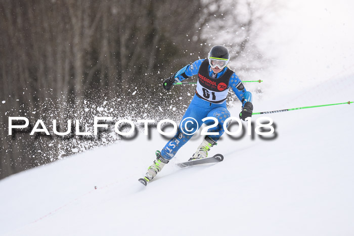 Int. FIS Rennen Damen, RS, Maria Alm 09.01.2018