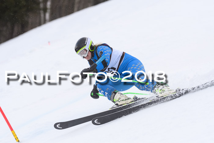 Int. FIS Rennen Damen, RS, Maria Alm 09.01.2018