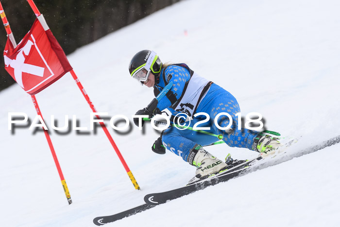 Int. FIS Rennen Damen, RS, Maria Alm 09.01.2018