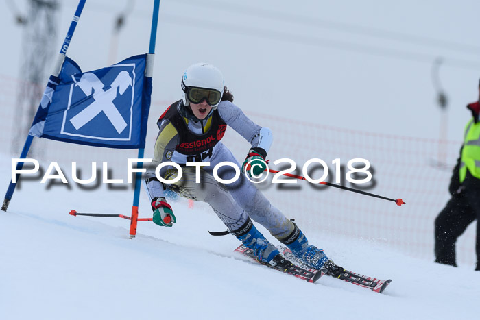 Int. FIS Rennen Damen, RS, Maria Alm 09.01.2018