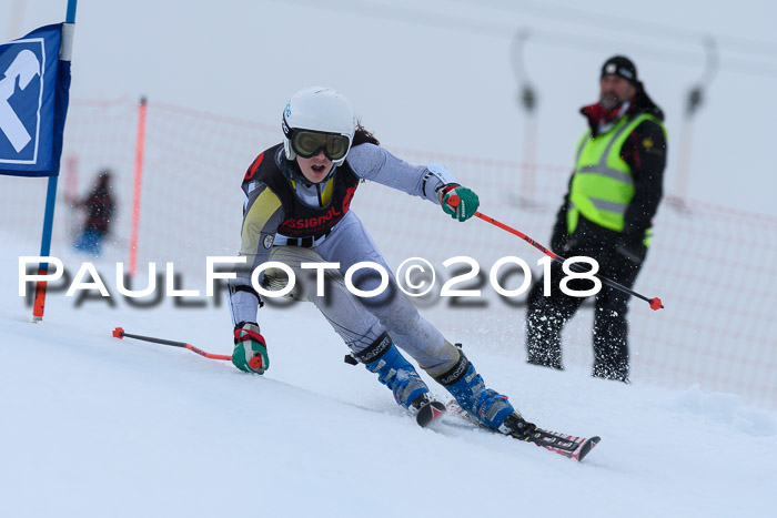 Int. FIS Rennen Damen, RS, Maria Alm 09.01.2018