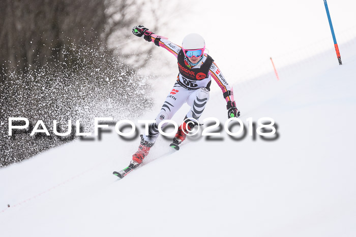 Int. FIS Rennen Damen, RS, Maria Alm 09.01.2018