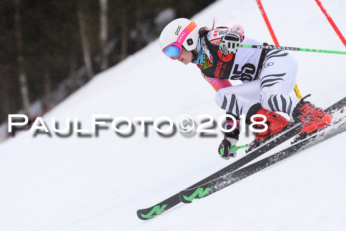 Int. FIS Rennen Damen, RS, Maria Alm 09.01.2018