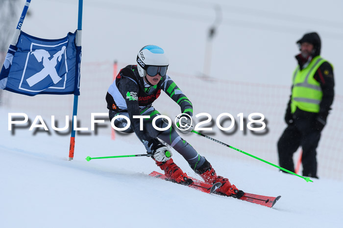 Int. FIS Rennen Damen, RS, Maria Alm 09.01.2018