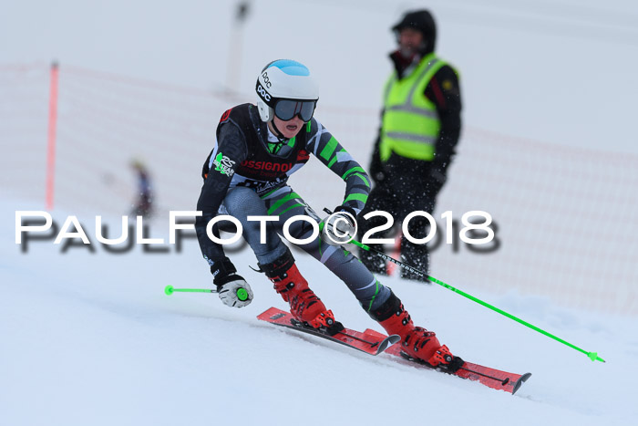 Int. FIS Rennen Damen, RS, Maria Alm 09.01.2018