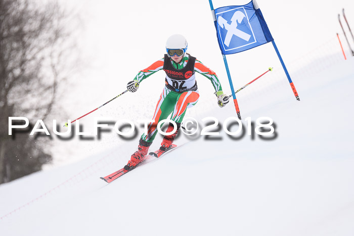 Int. FIS Rennen Damen, RS, Maria Alm 09.01.2018