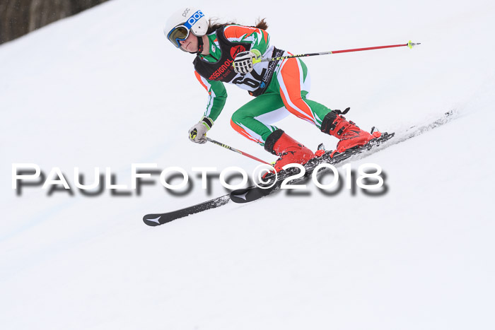 Int. FIS Rennen Damen, RS, Maria Alm 09.01.2018