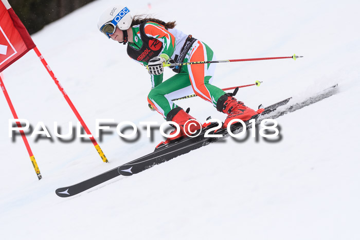 Int. FIS Rennen Damen, RS, Maria Alm 09.01.2018