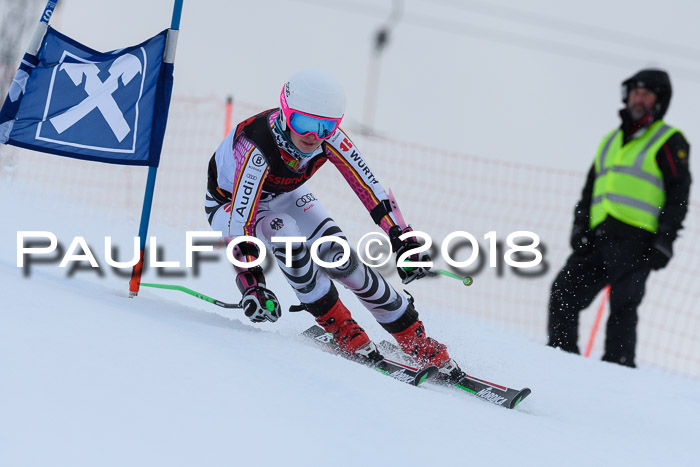 Int. FIS Rennen Damen, RS, Maria Alm 09.01.2018