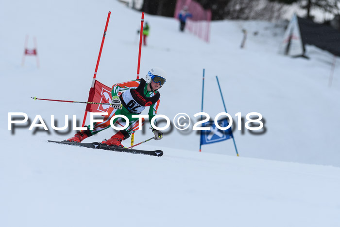 Int. FIS Rennen Damen, RS, Maria Alm 09.01.2018