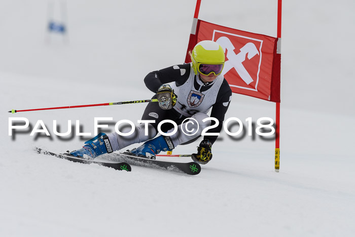 Int. FIS Rennen Damen, RS, Maria Alm 09.01.2018