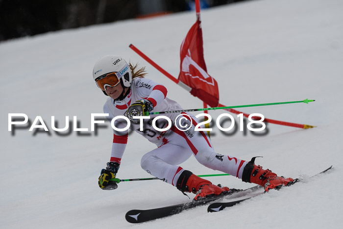 Int. FIS Rennen Damen, RS, Maria Alm 09.01.2018